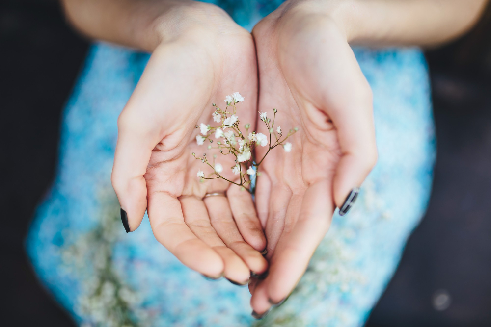 Reiki Master Certification Online — Step Into a Teaching Role